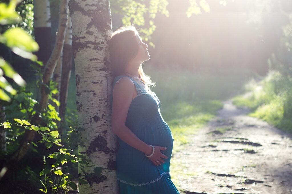 birch, pregnant, family-1498550.jpg