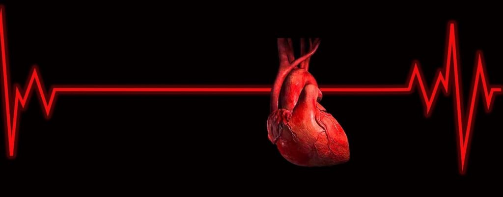 heart, love, romance-7358189.jpg