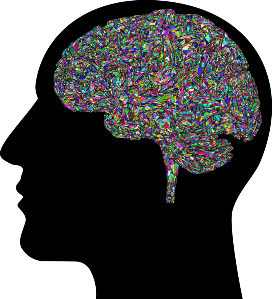 man, brain, mind-8613180.jpg