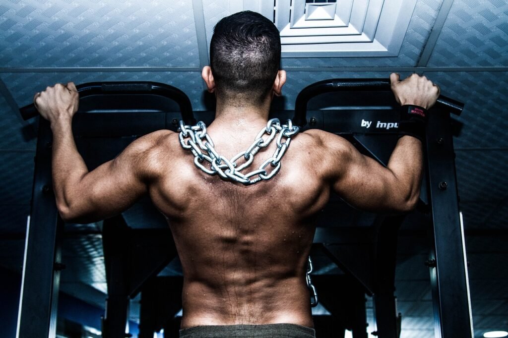 muscle, gym, training-2459720.jpg